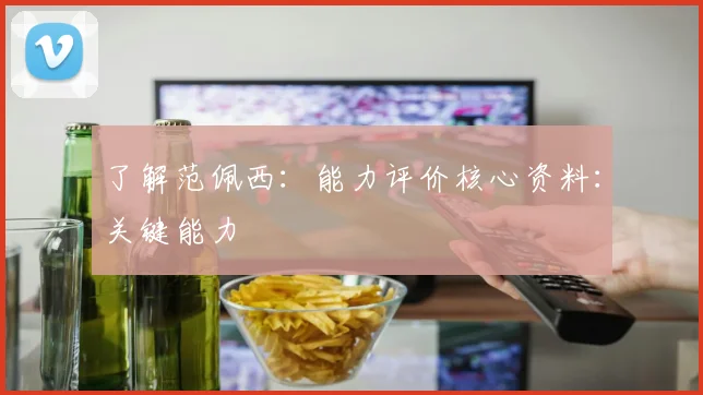 了解范佩西：能力评价核心资料：关键能力